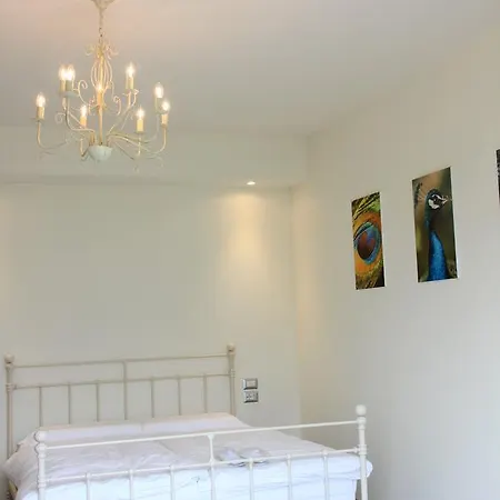 Alojamento de Acomodação e Pequeno-almoço Oliveto 3*